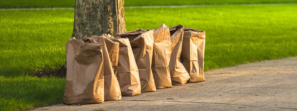 Brown bags on sidewalk with grass & tree